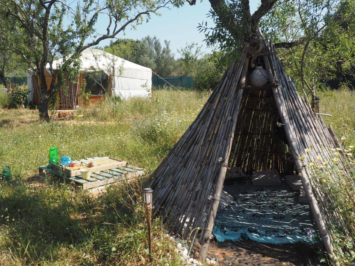 Tiny House Eco Resort Estevais Exteriör bild