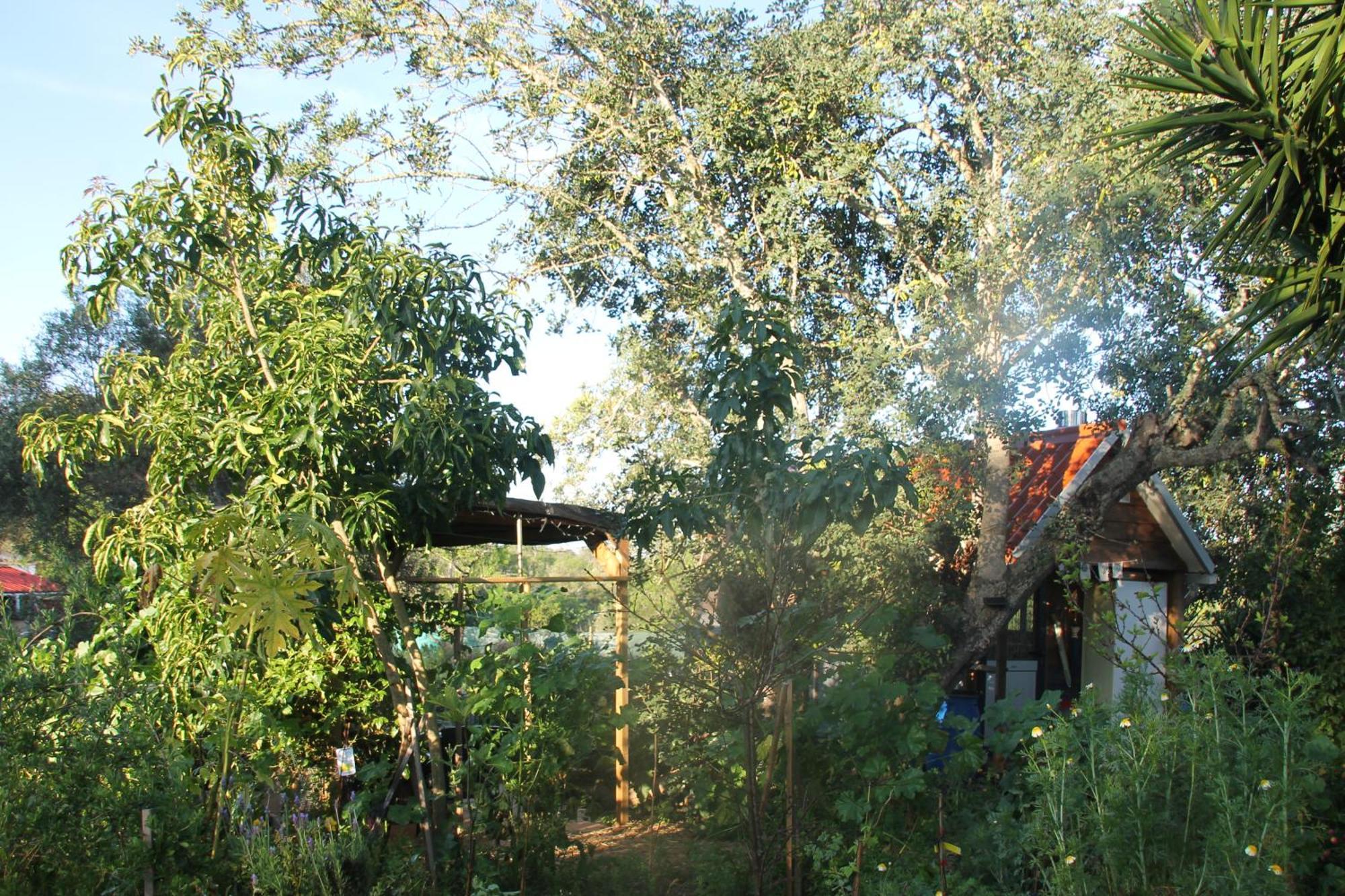 Tiny House Eco Resort Estevais Exteriör bild